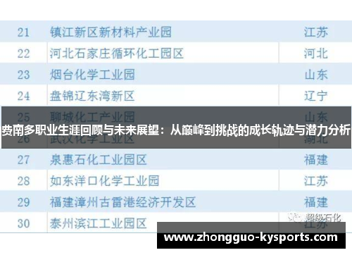 费南多职业生涯回顾与未来展望：从巅峰到挑战的成长轨迹与潜力分析