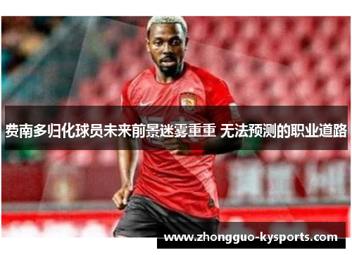费南多归化球员未来前景迷雾重重 无法预测的职业道路 费南多归化球员未来前景迷雾重重 无法预测的职业道路