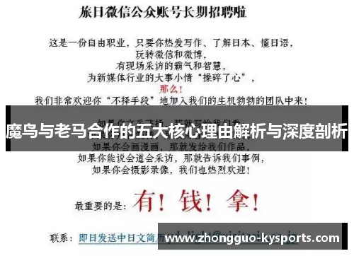 魔鸟与老马合作的五大核心理由解析与深度剖析